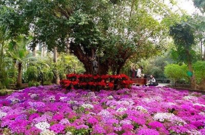 ​天津迎来一“巨型公园”，占地500亩号称亚洲之最，门票仅售60元