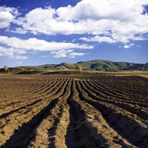 ​村主任不会告诉你的秘密：承包地500亩，国家一年补贴究竟有多少