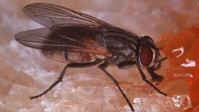 ​中国怎么了？招谁惹谁了？