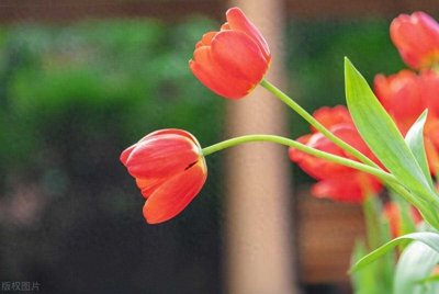 ​在男人眼里很廉价的女人，会有的特征