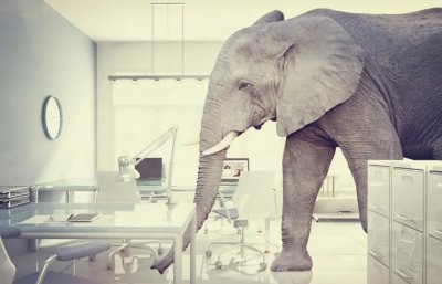 ​粮食安全问题不能成为“房间里的大象”