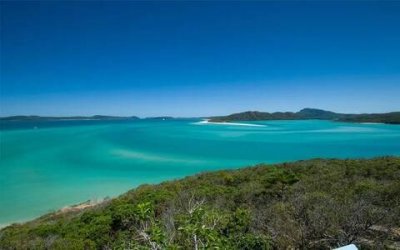 ​最伤感的个性签名大全（失望和心凉的个性签名）