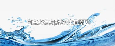 ​臭水沟发臭的原因 家里的水一股臭水沟味