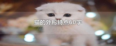 ​猫的外形特点60字