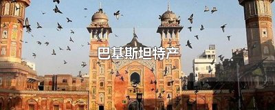 ​巴基斯坦特产