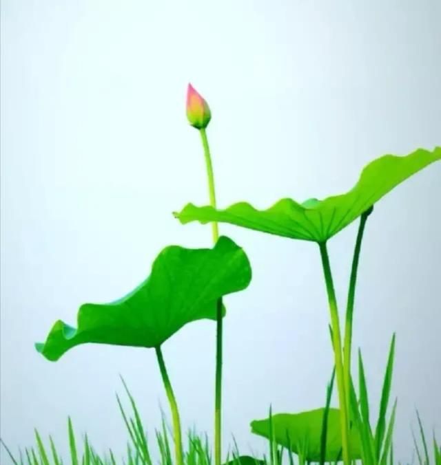 安若名字的寓意，职场中有时候遇到很棘手的事情怎么办？时间紧迫又很重要？图3