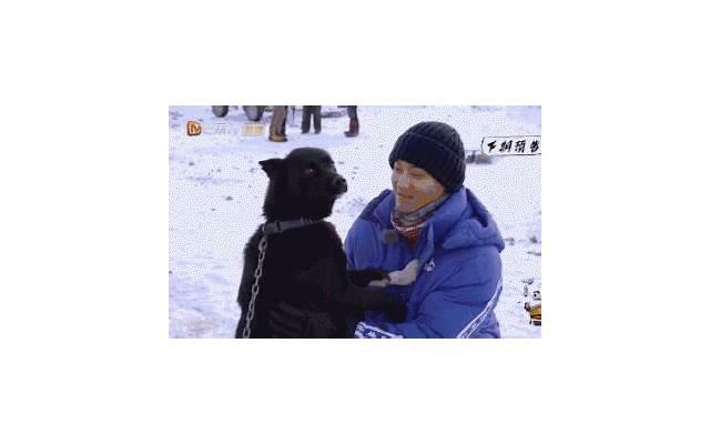 上星剧是什么意思