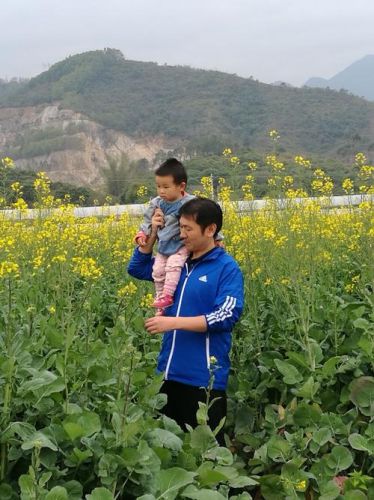 送给爸爸的春天(爸爸的春天电视剧)-第1张图片-