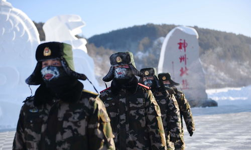 农副业生产,35岁不想打工了怎么办图6