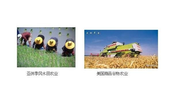 关于部队农副业生产的新闻稿