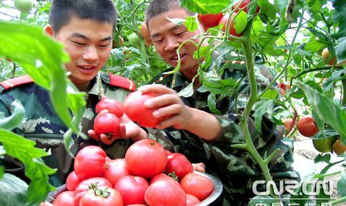 35岁不想打工了怎么办