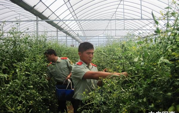 农业种植基地宣传标语