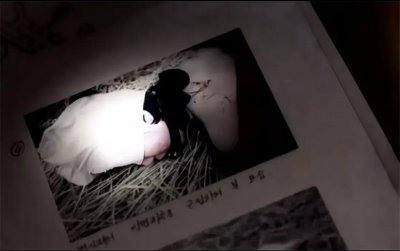 ​凶手专杀红衣女性？连杀11名无辜女性最小仅8岁的白银连环杀人案