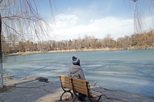 北京大学未名湖—千万人打卡的美景，有啥看点？