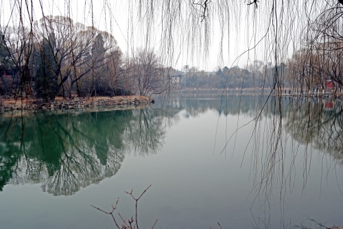 北京大学未名湖—千万人打卡的美景，有啥看点？