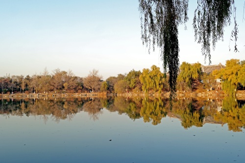 北京大学未名湖—千万人打卡的美景，有啥看点？