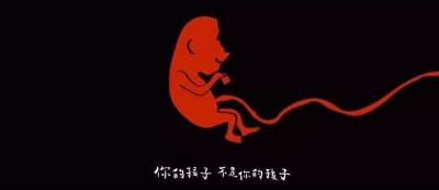 ​《猫的孩子》：单亲家庭和丧偶式育儿的孩子谁更惨？答案你想不到