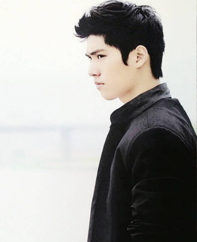 林子闳个人资料