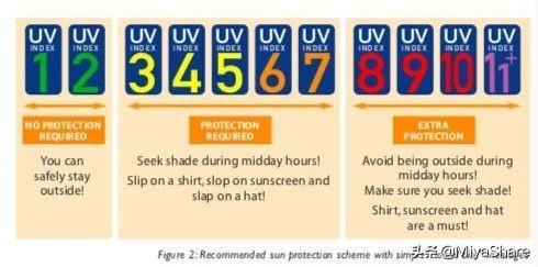 防晒霜红黑榜真人实测(ISDIN红榜第1适合全肤质)(3)