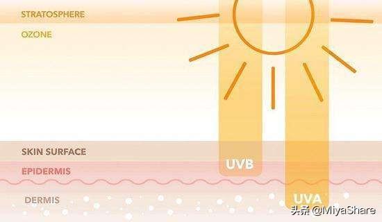 防晒霜红黑榜真人实测(ISDIN红榜第1适合全肤质)(1)