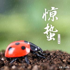 ​二十四节气—惊蛰