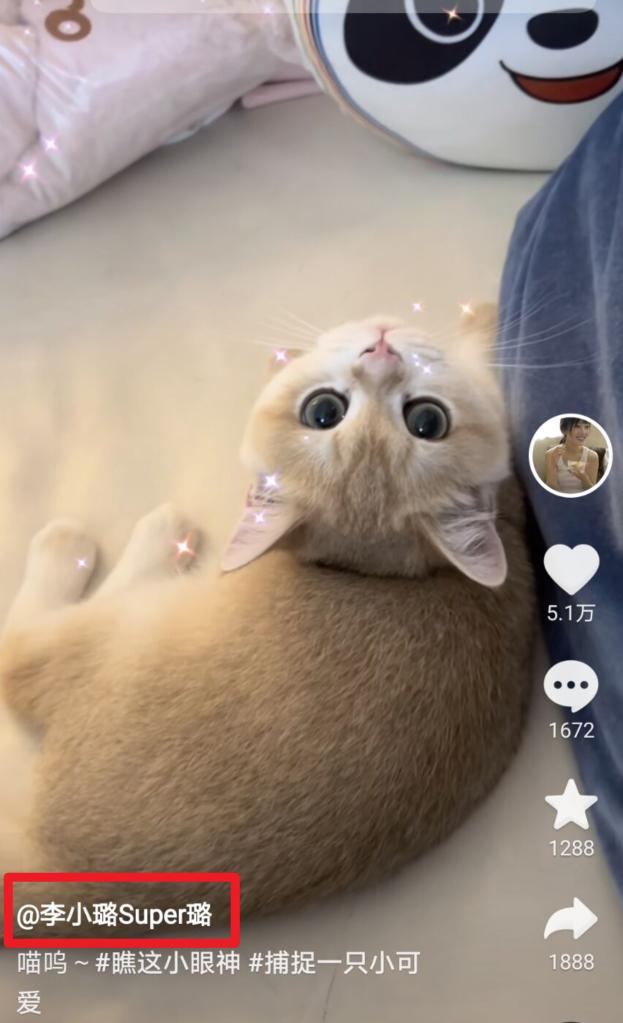 李小璐买的鞋子（李小璐PG1疑设计情侣品牌）(7)