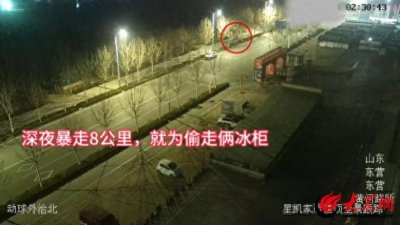 ​“贼”有劲！徒步8公里 “推走”俩冰柜！