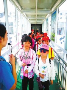 ​六一儿童节 小记者走进“三色鸽”