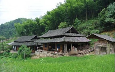 ​故事：小哥上坟呆掉了，坟头挂满笼子，坟洞子里盘踞大鳝鱼