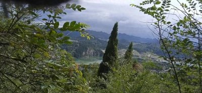 ​一个人的独居生活，不是时光让我学会了坚强，是人生让我必须逞强