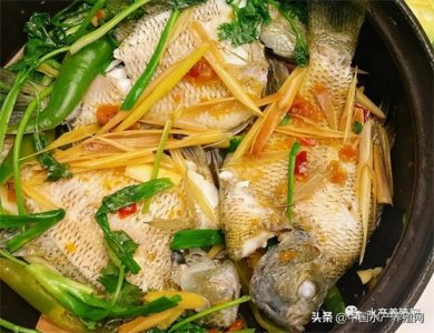 ​今年养这条鱼每亩能赚5-10万？食用、观赏、垂钓均可，你有兴趣吗