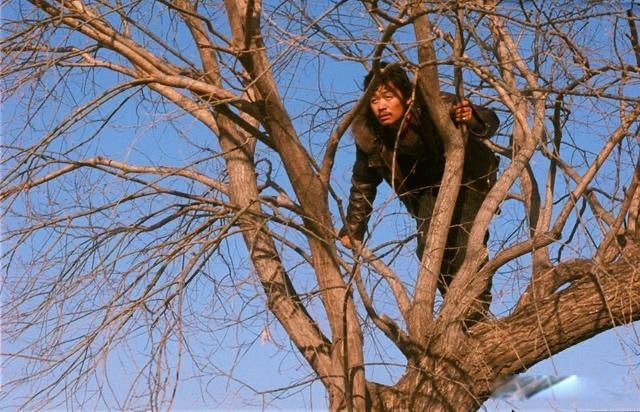 影视hello树先生深度解析 情节并不复杂都是假象  1