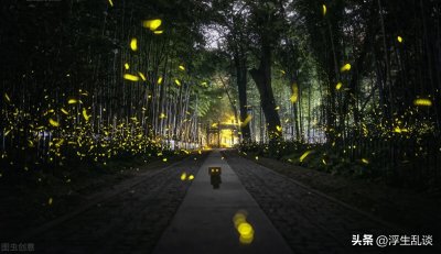 ​高情商怼人金句合集，看完真的解气