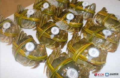 ​“黄河口农品代言人”评选活动正式启动！快来投稿赢取万元大奖