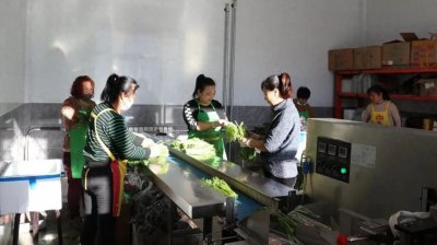 ​林东镇：村企共建结硕果 助农增收谱新篇