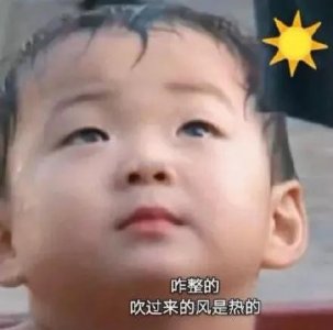 ​搞笑的表情包天气太热了