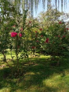 ​你真的理解“踏空”吗？