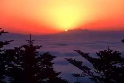 ​西昌新开通一旅游班线，票价、时间、站点为……