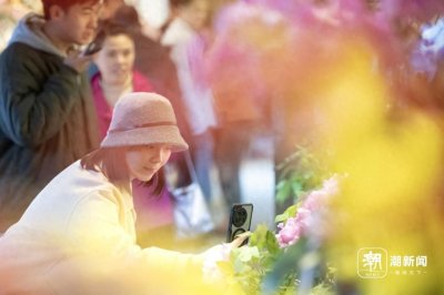 ​杭州钱王祠花开迎春归