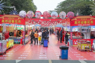​年味十足！东莞高埗迎春花市热闹开市