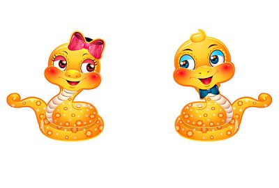 词语阐述剖析：“四十平分犹过五”是打什么生肖，猜一最佳正确词语梳理解释