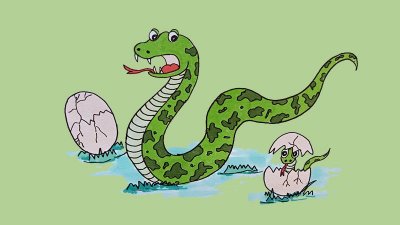 “难解难分”是指什么生肖，打一个确定生肖|严选释义解释