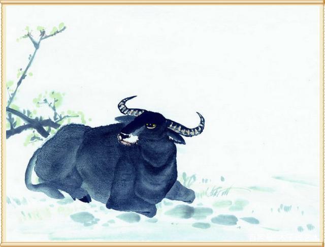 1764084260669973.jpeg 4bd0c83838966508259646c306dfddab.jpeg