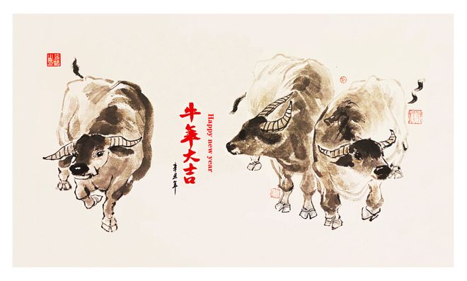 1764170754476594.jpeg 5c2f09e2fa9f850098c28b16162d4e2e.jpeg