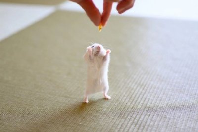 成语甄选释义：“路长日暮”是指猜什么生肖打一最佳准确生肖释义成语解释