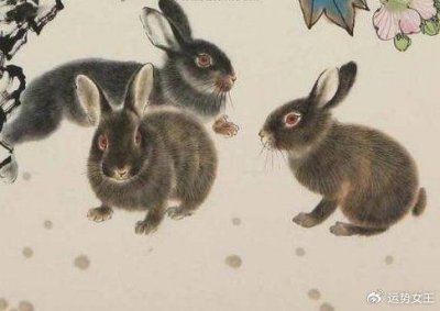 释义甄选解析：“无牵无挂”是指代表解哪个正确最佳生肖动物，猜打一词语释义作答解释